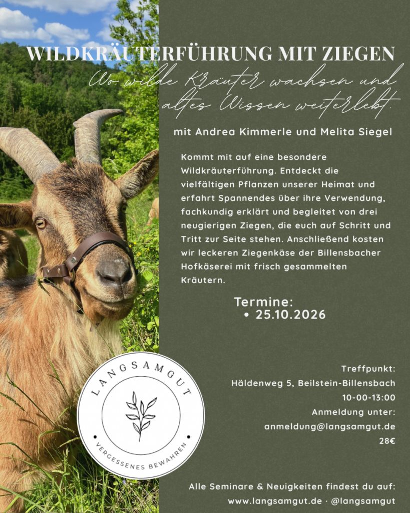 Wildkräuterführung